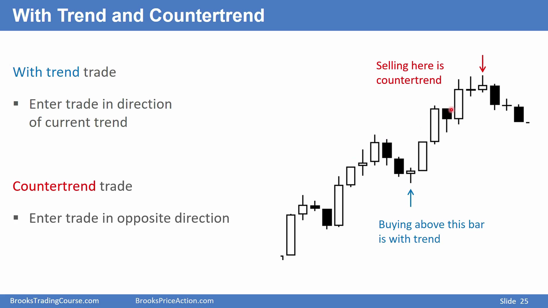 Slide 025