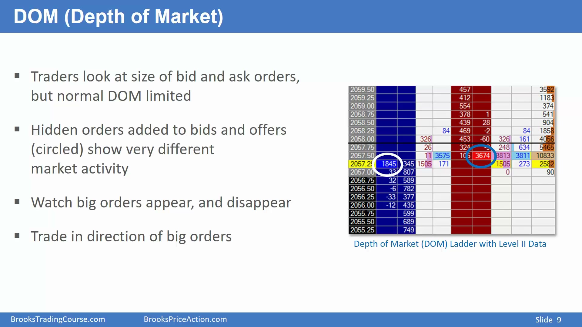 Slide 009