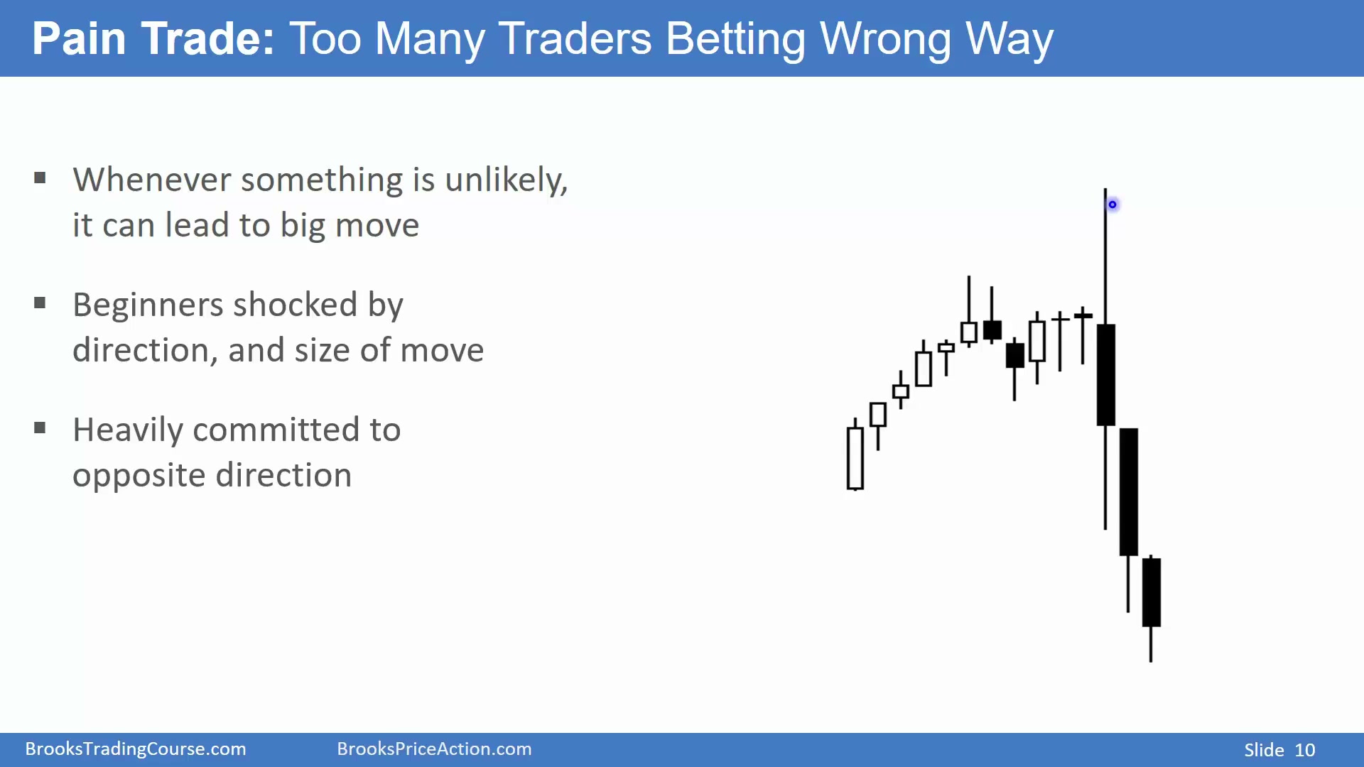 Slide 010