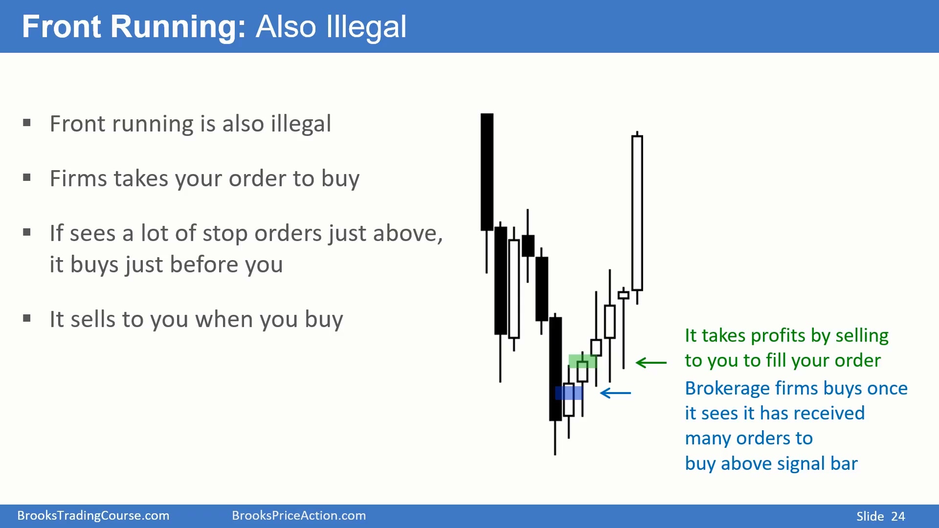 Slide 024