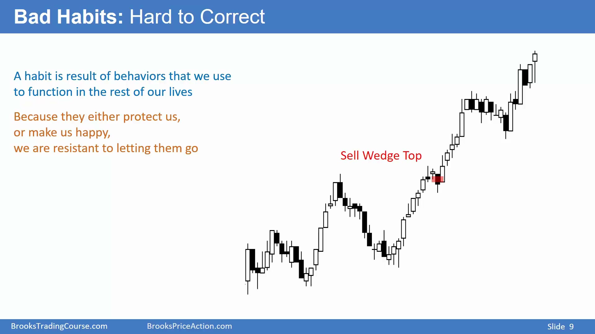 Slide 009