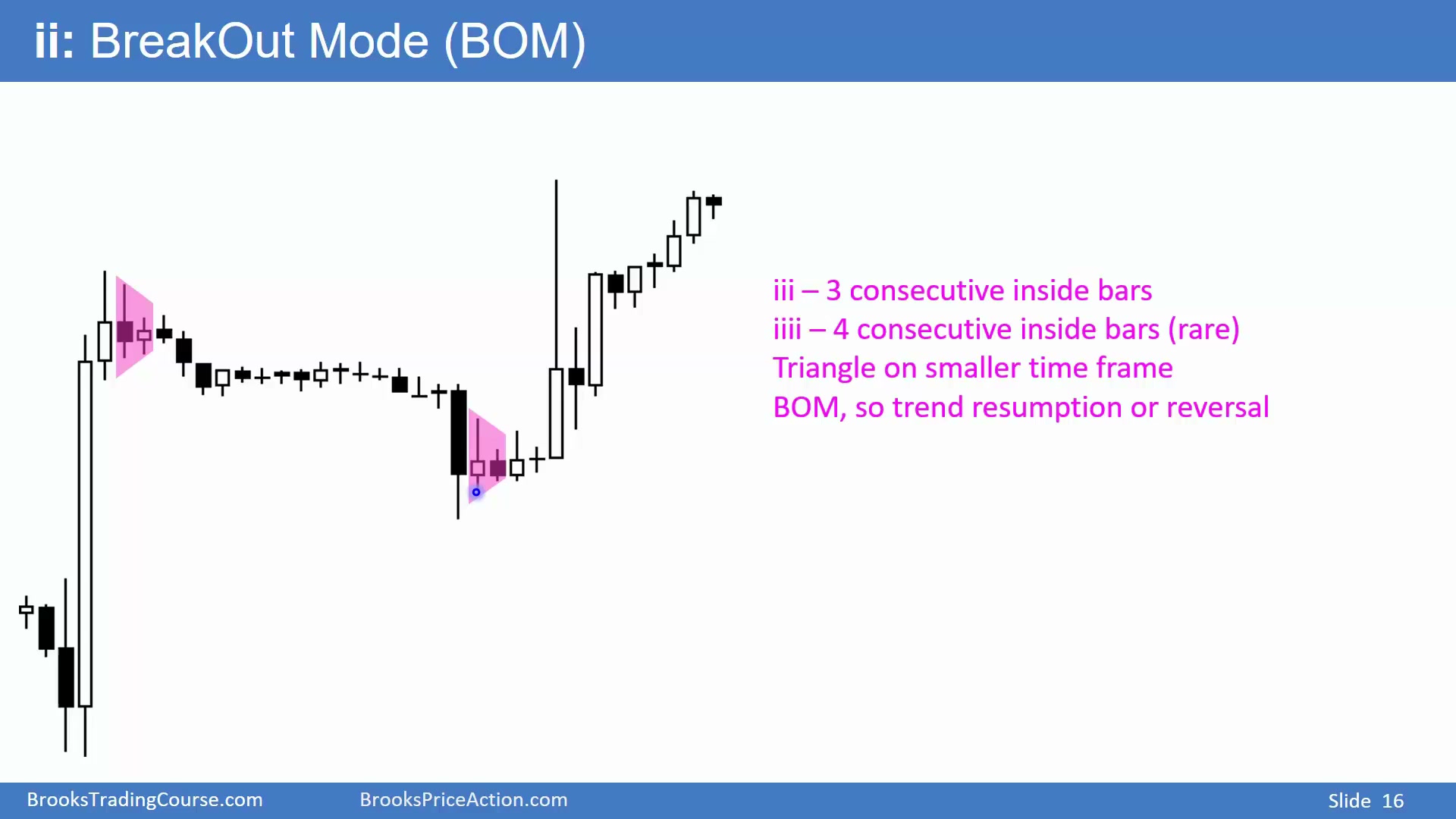 Slide 016