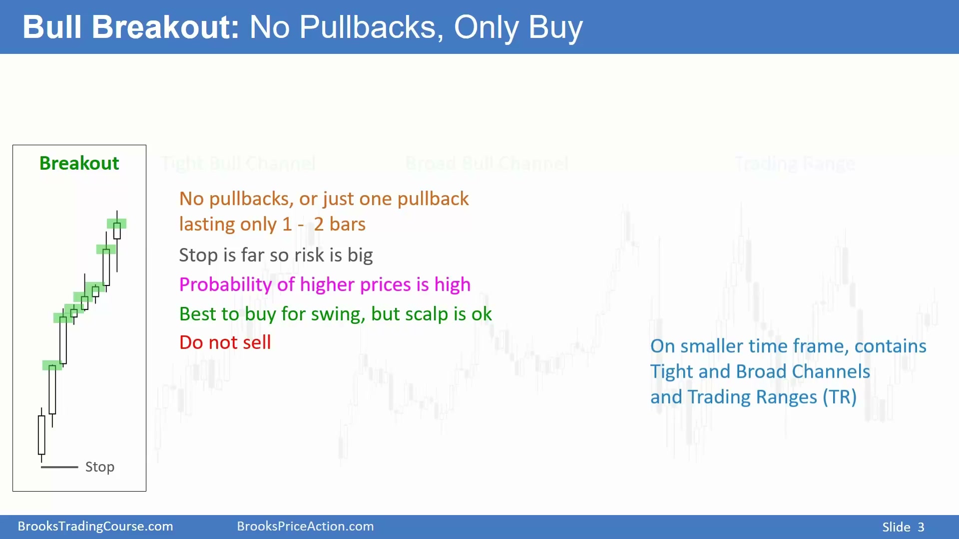 Slide 003