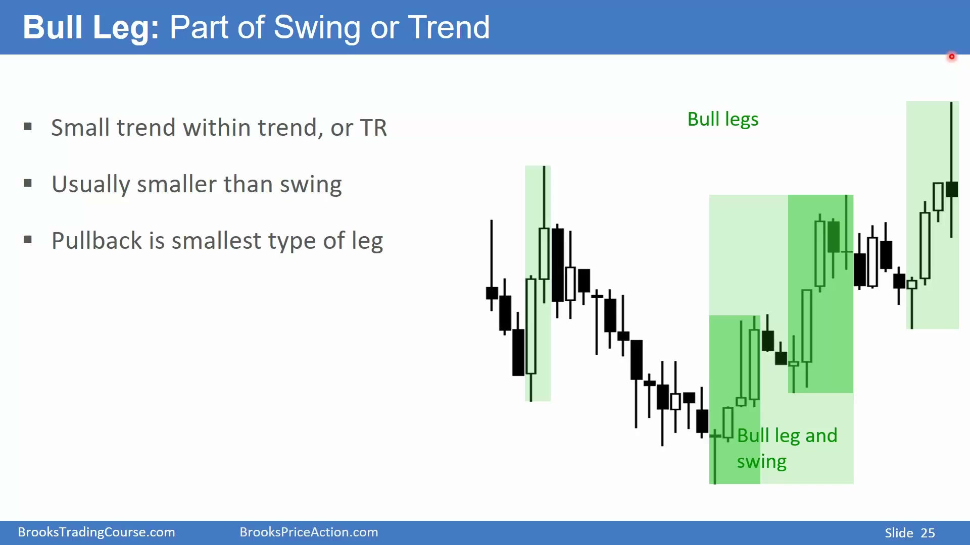 Slide 025