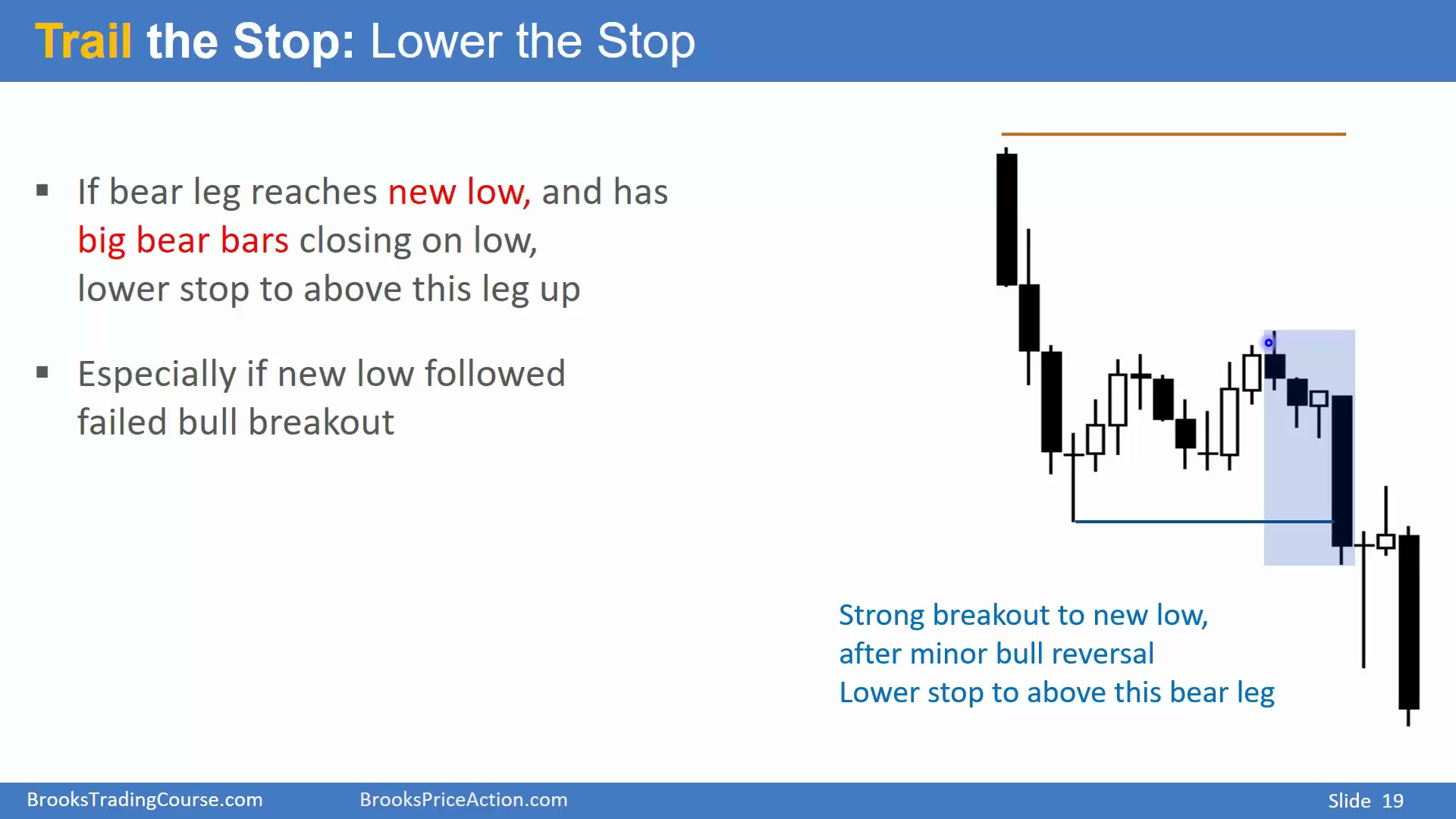 Slide 019
