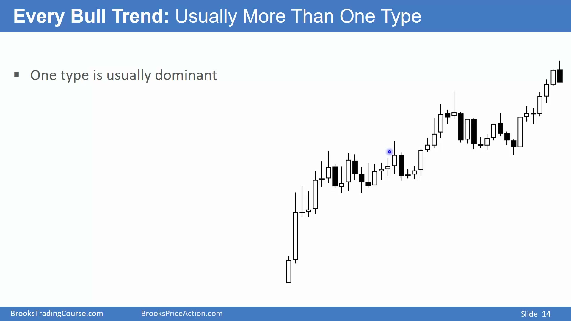 Slide 014