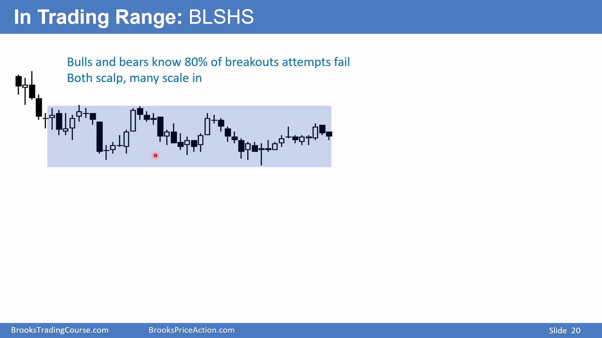 Slide 019