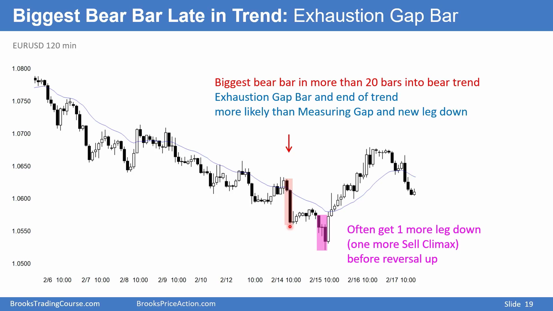 Slide 019