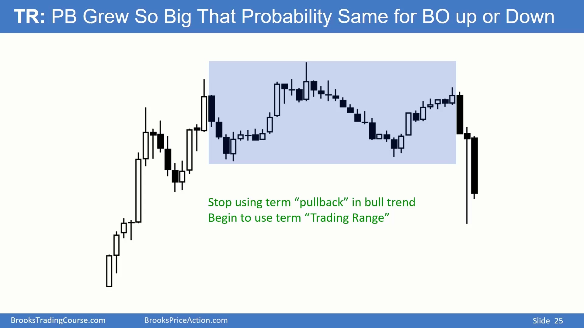 Slide 025