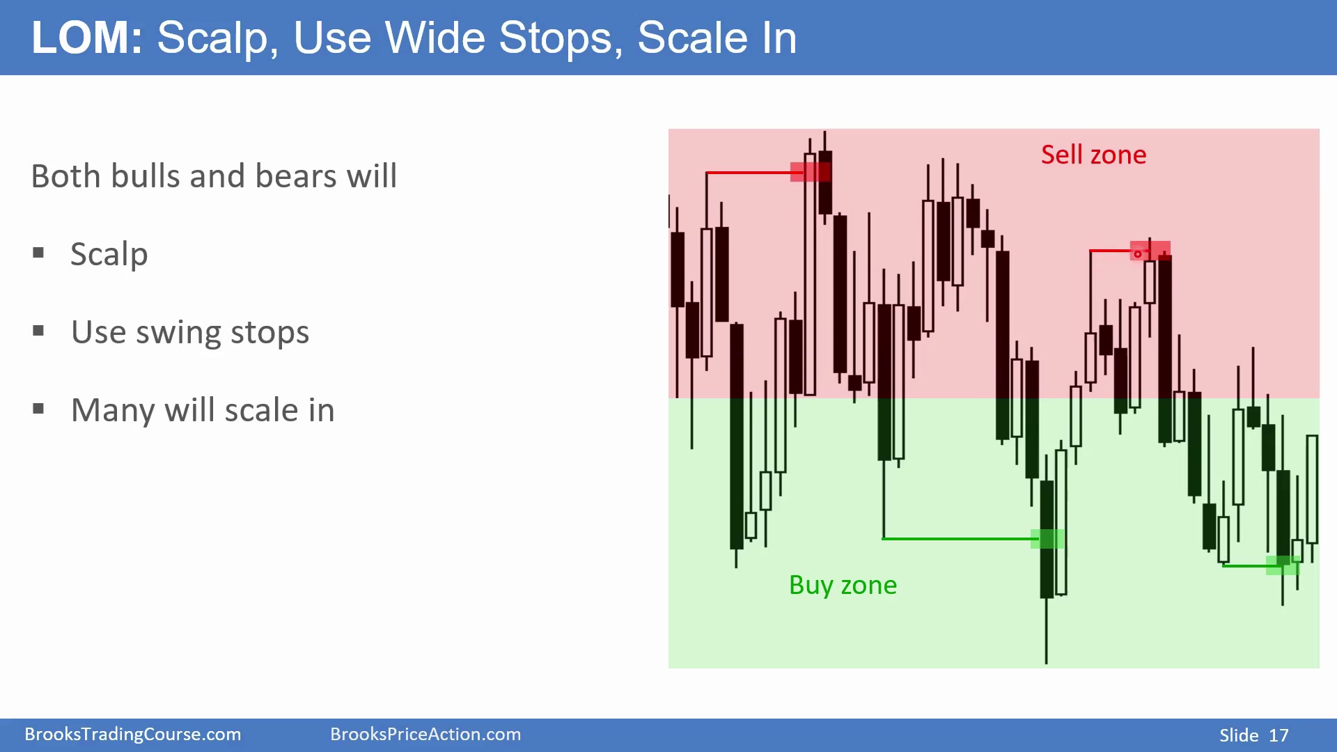 Slide 017