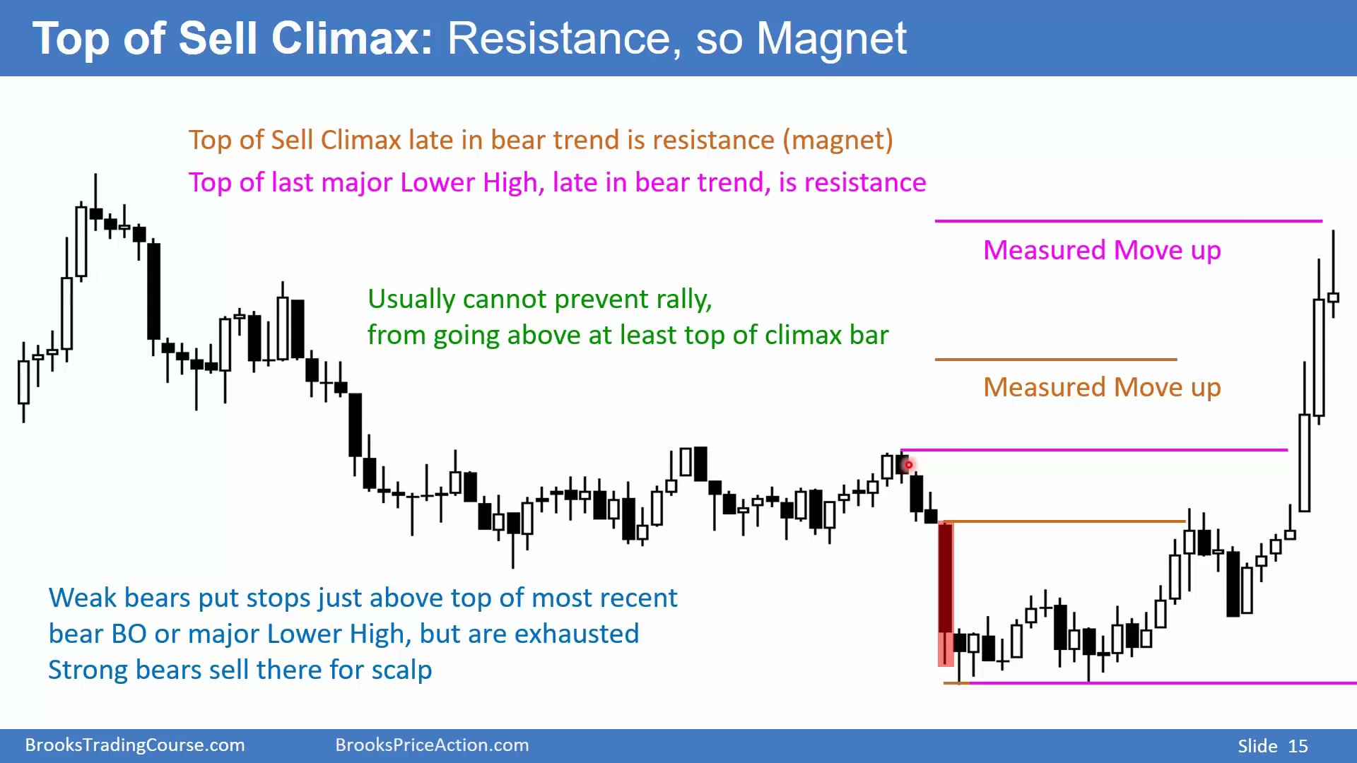 Slide 015