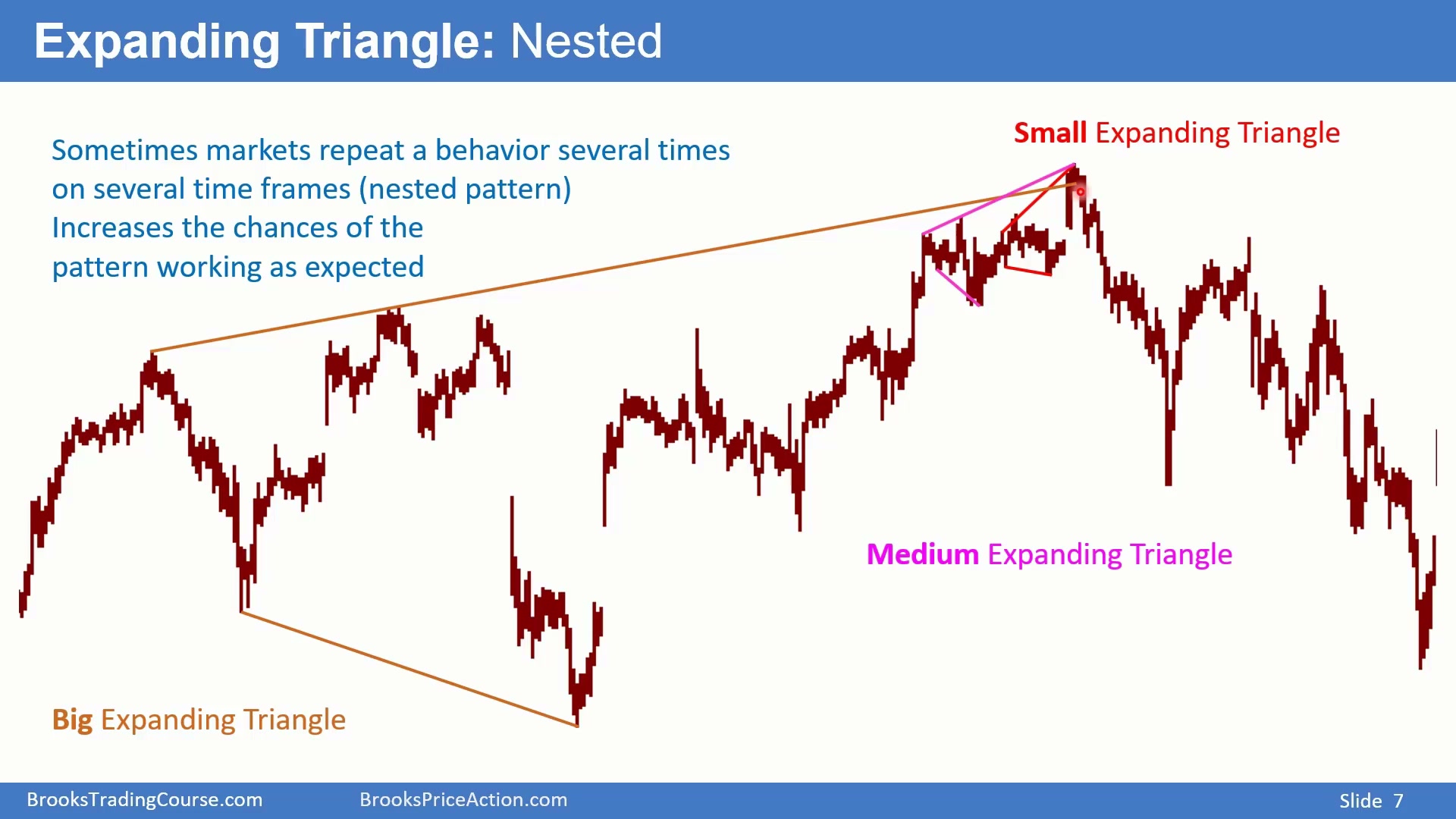 Slide 007