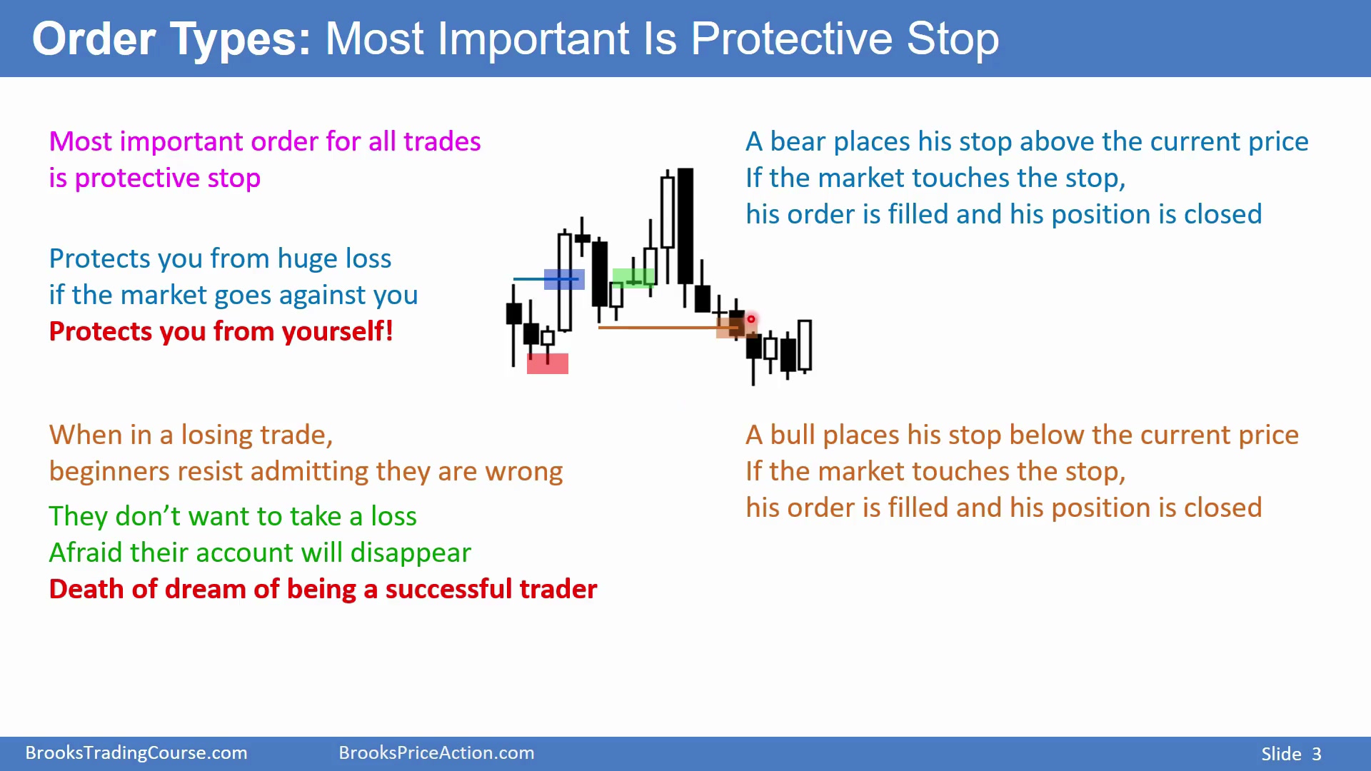 Slide 003
