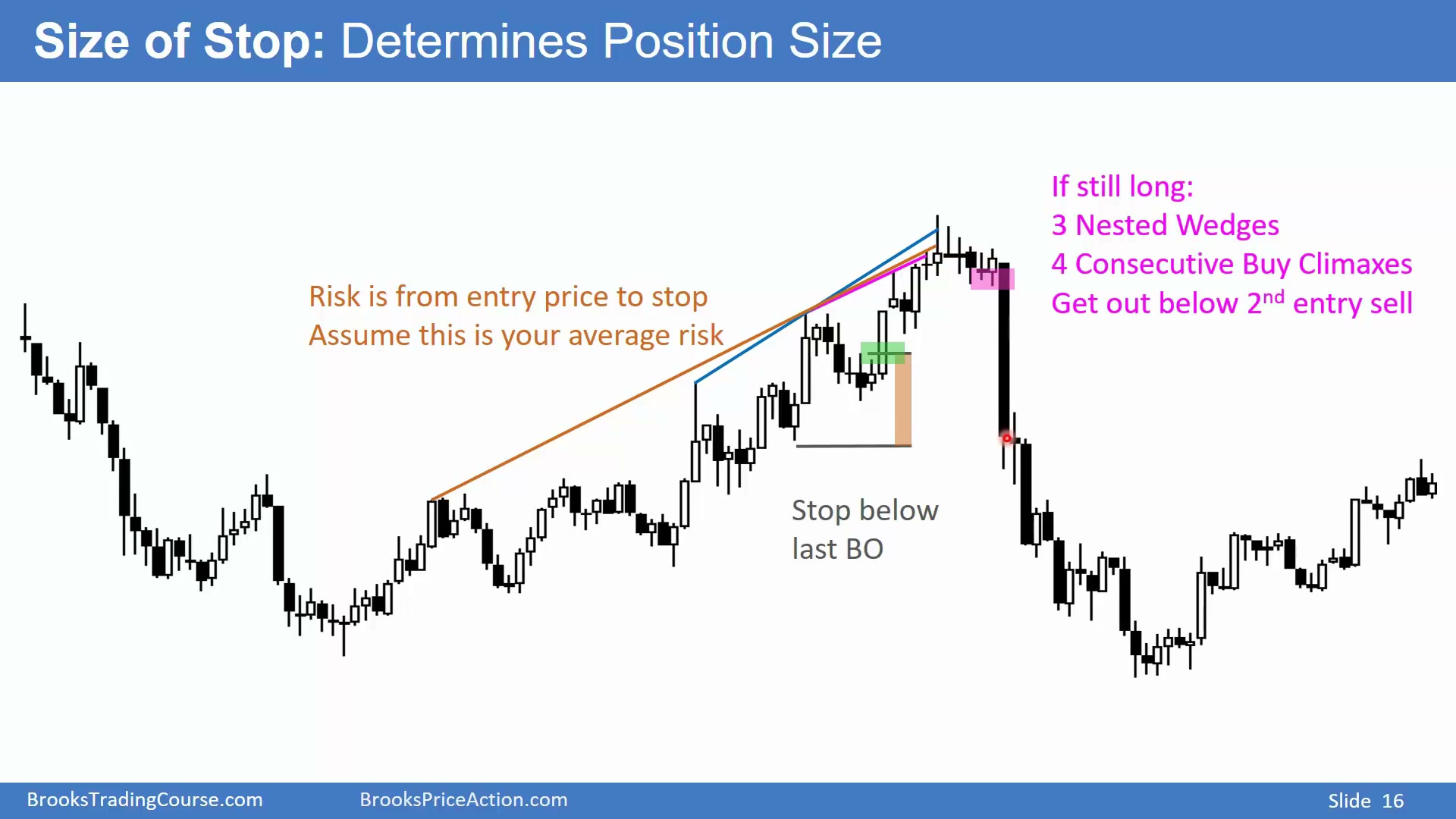 Slide 015