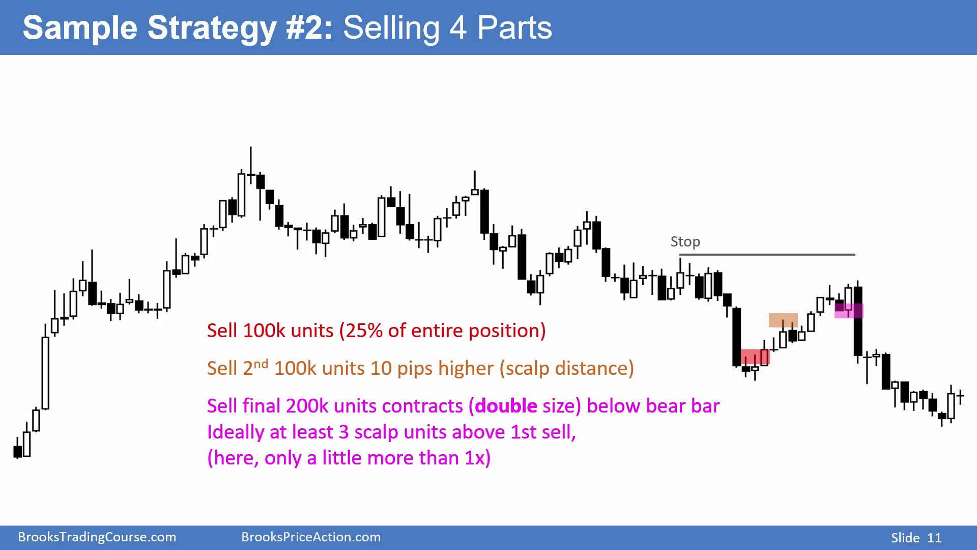 Slide 011