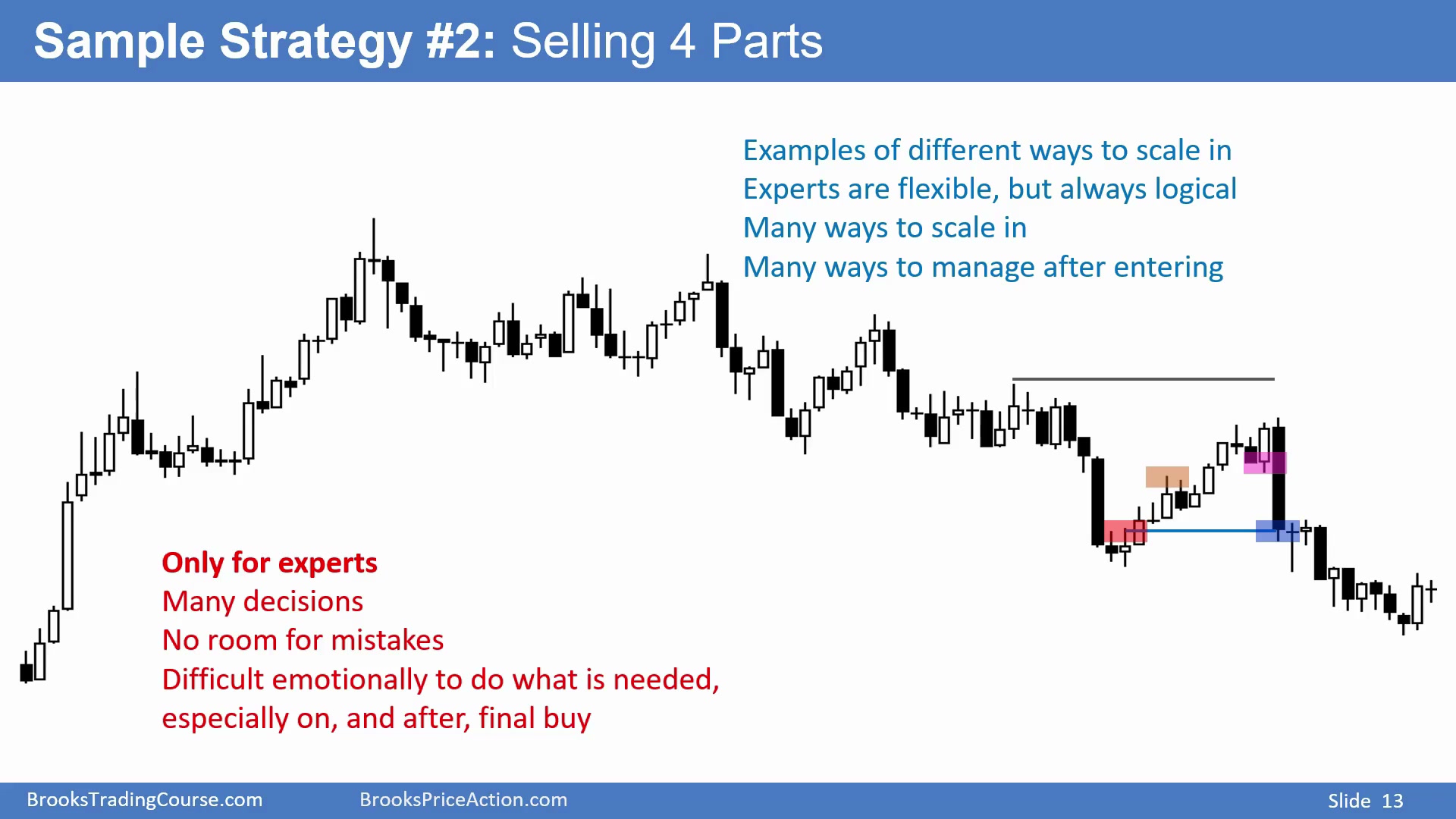 Slide 013