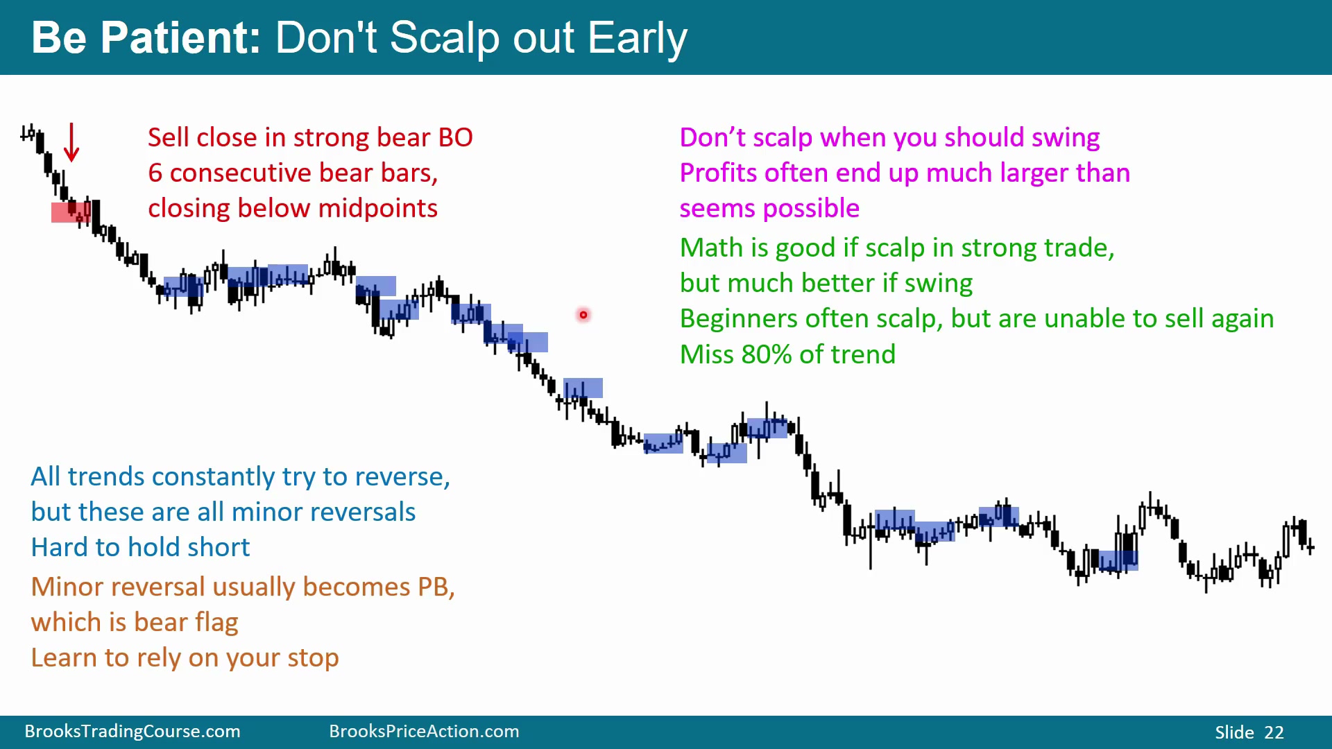 Slide 022