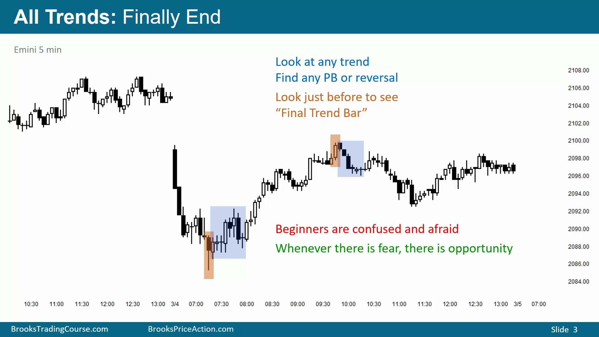 Slide 003