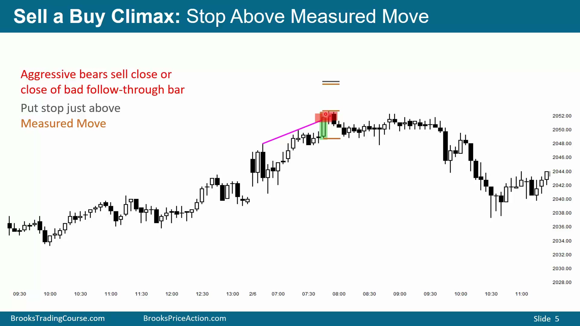 Slide 005