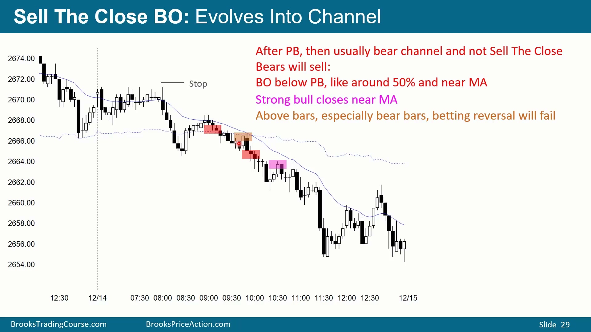 Slide 029