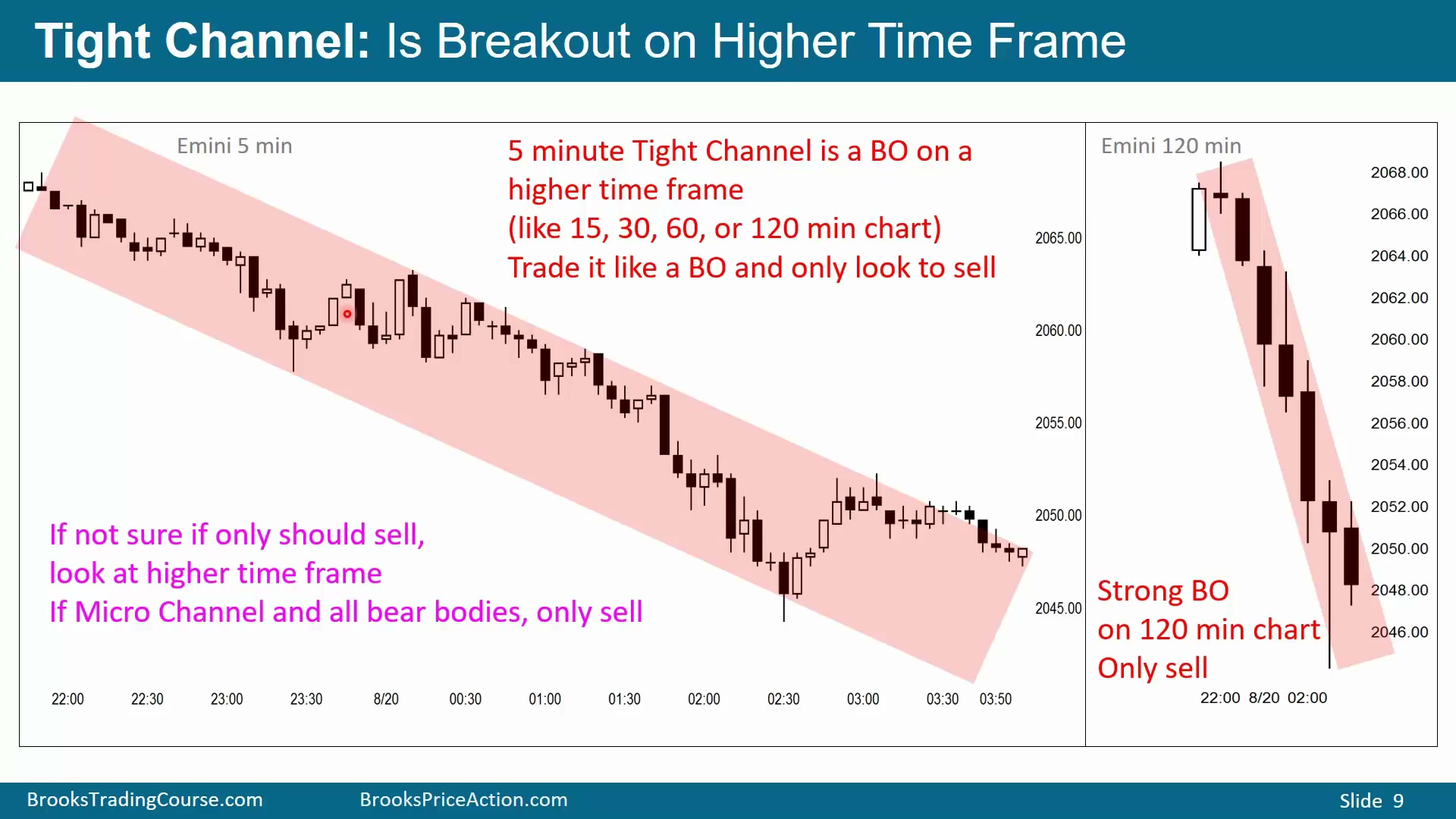 Slide 009