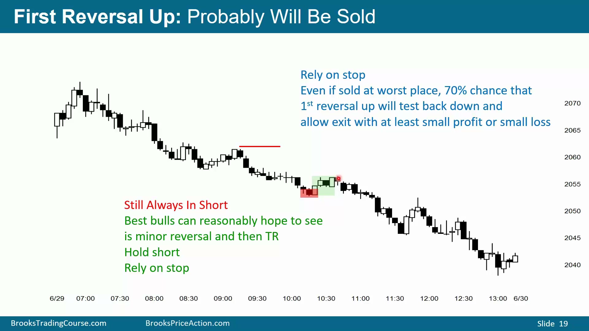 Slide 019