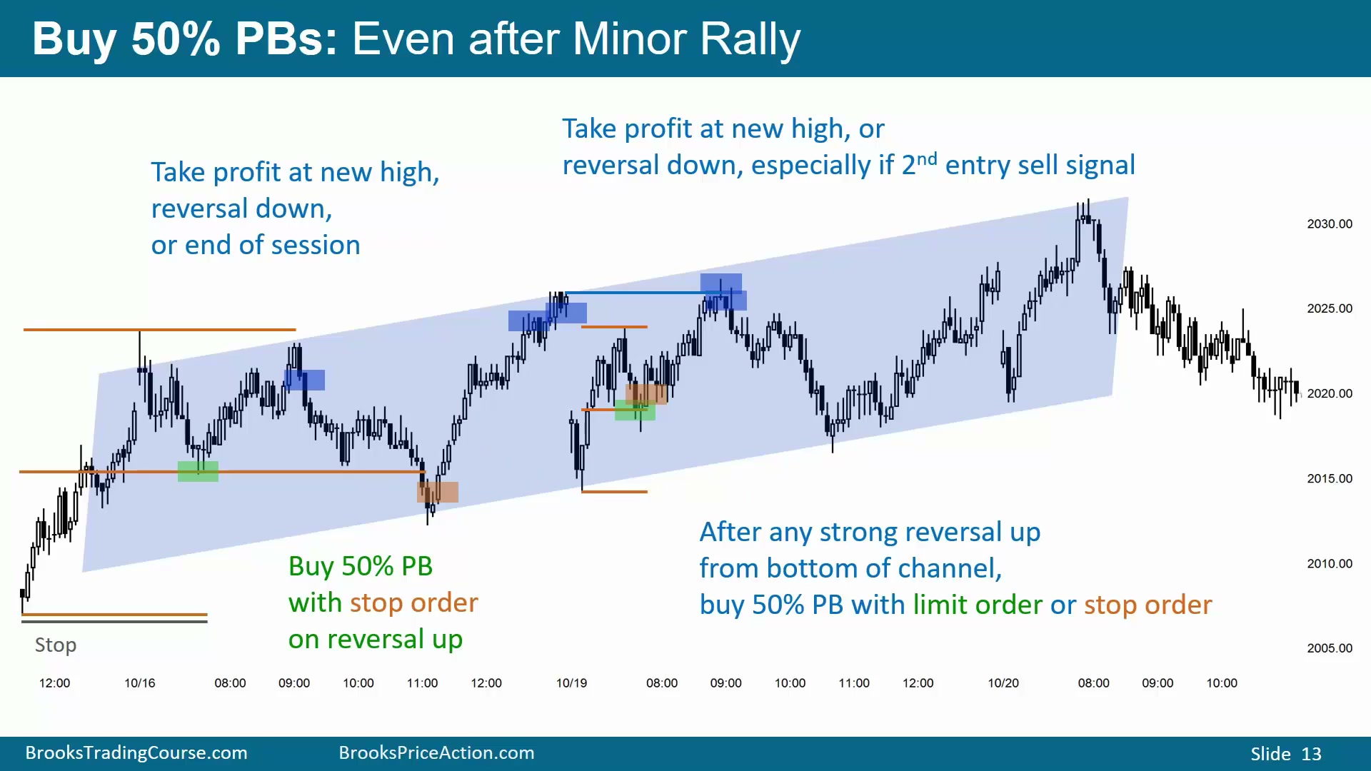 Slide 013