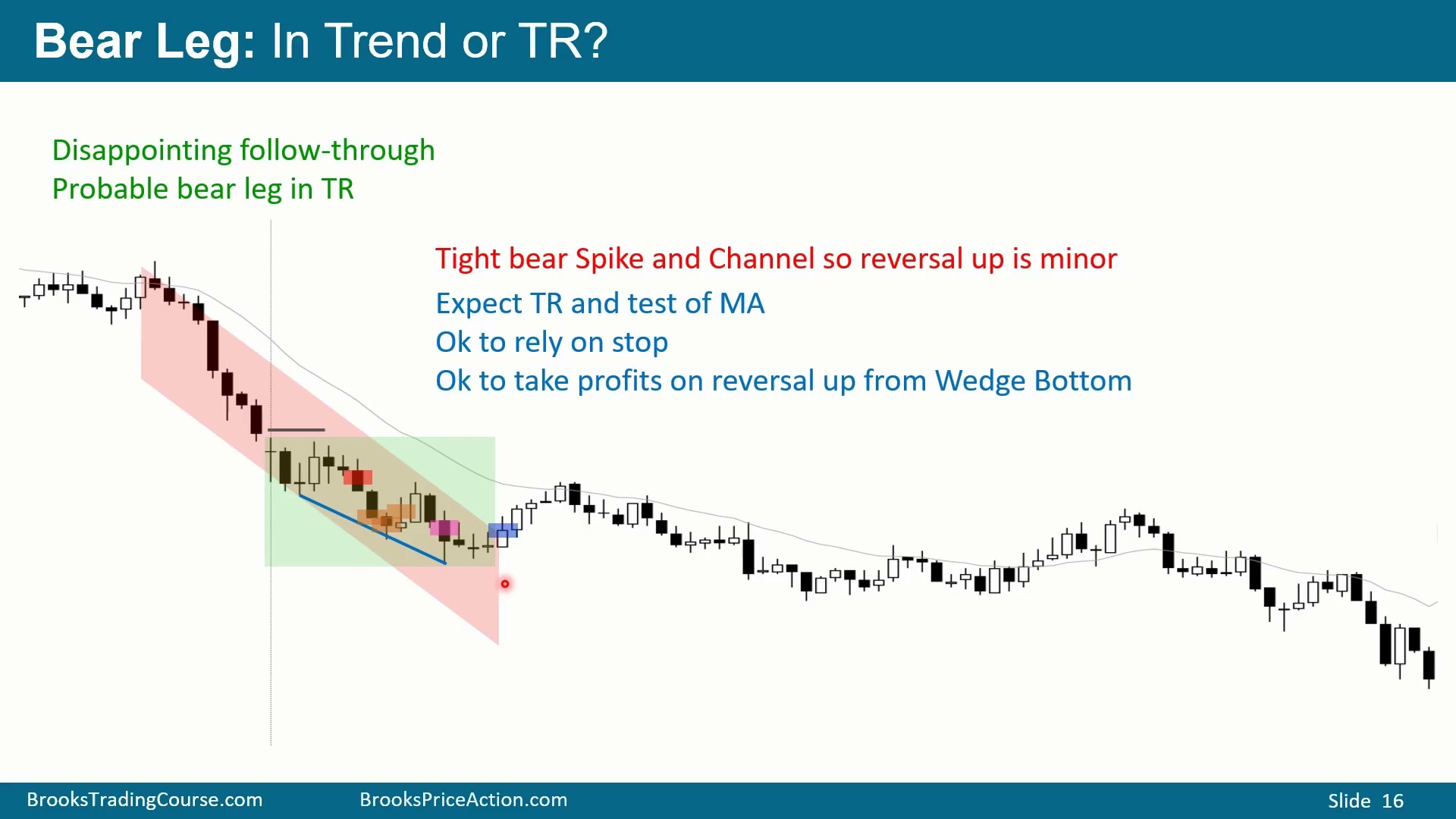 Slide 016