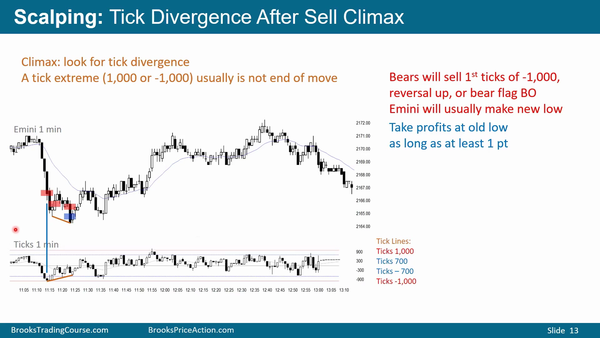 Slide 013