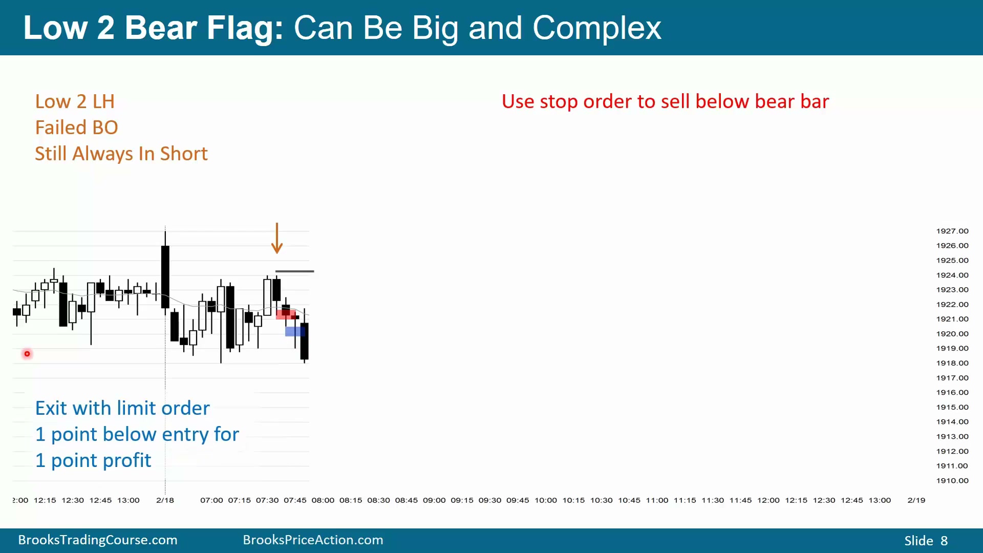 Slide 008