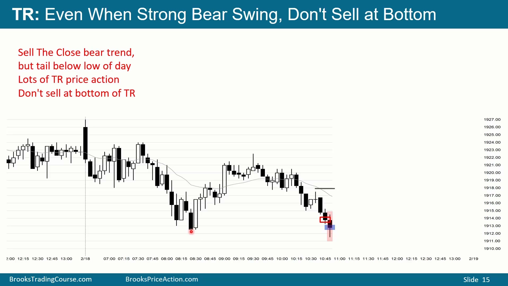 Slide 013