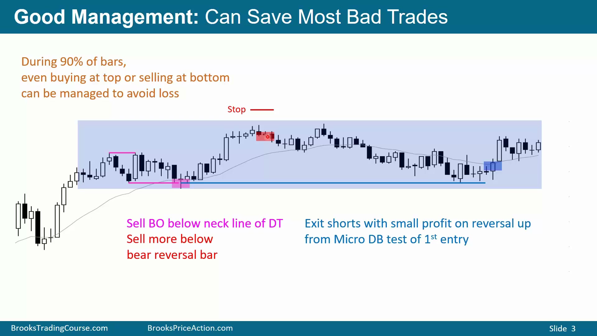 Slide 003