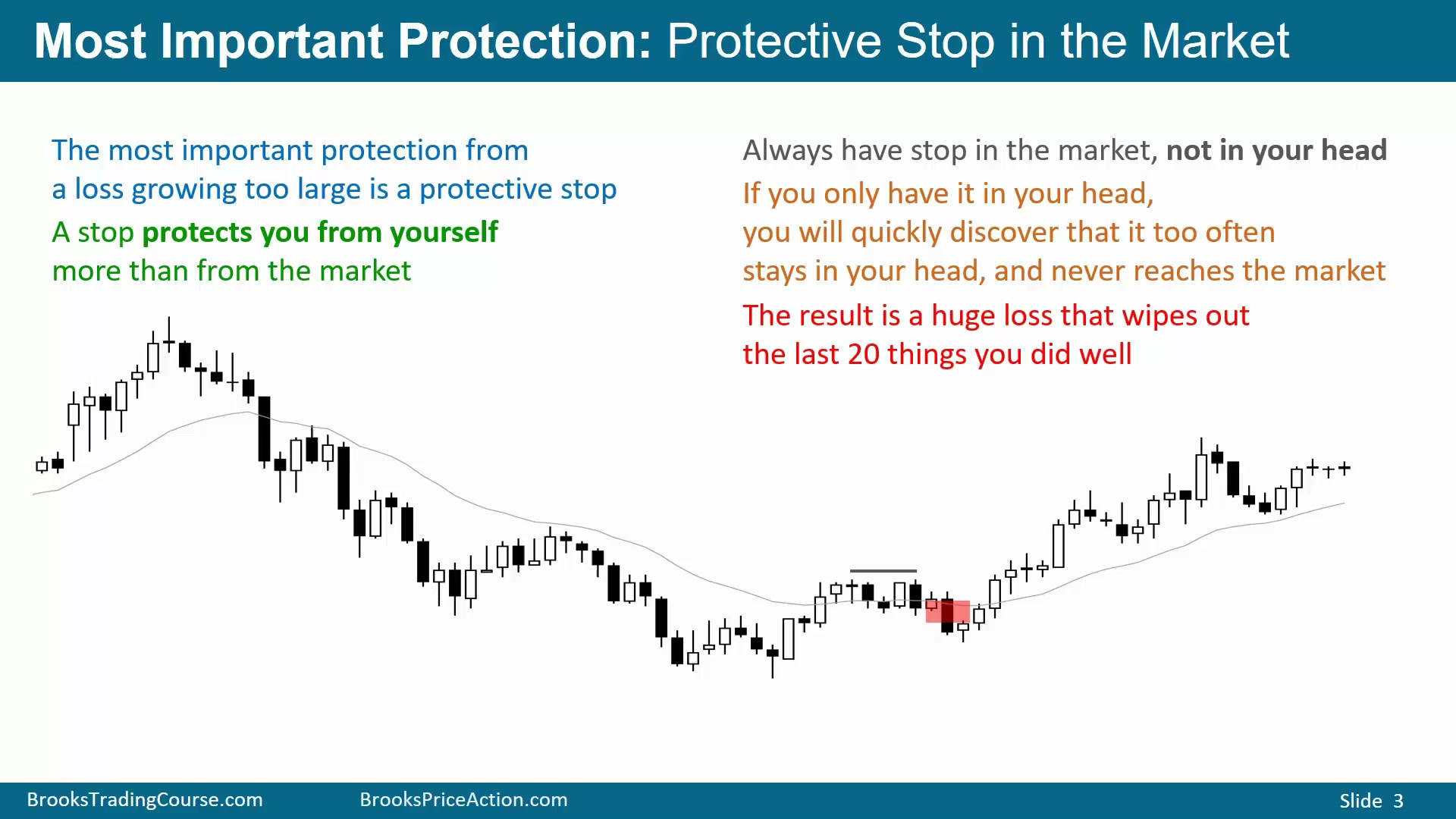 Slide 003