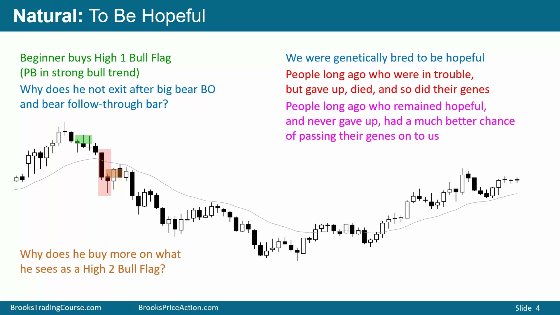 Slide 004