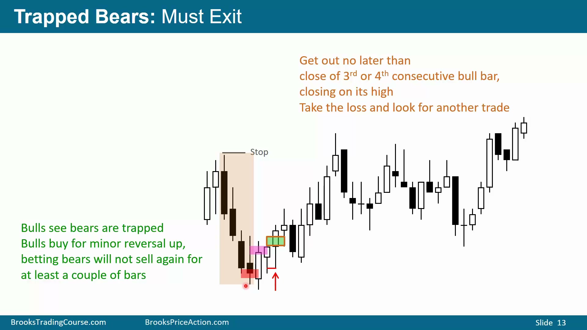 Slide 013