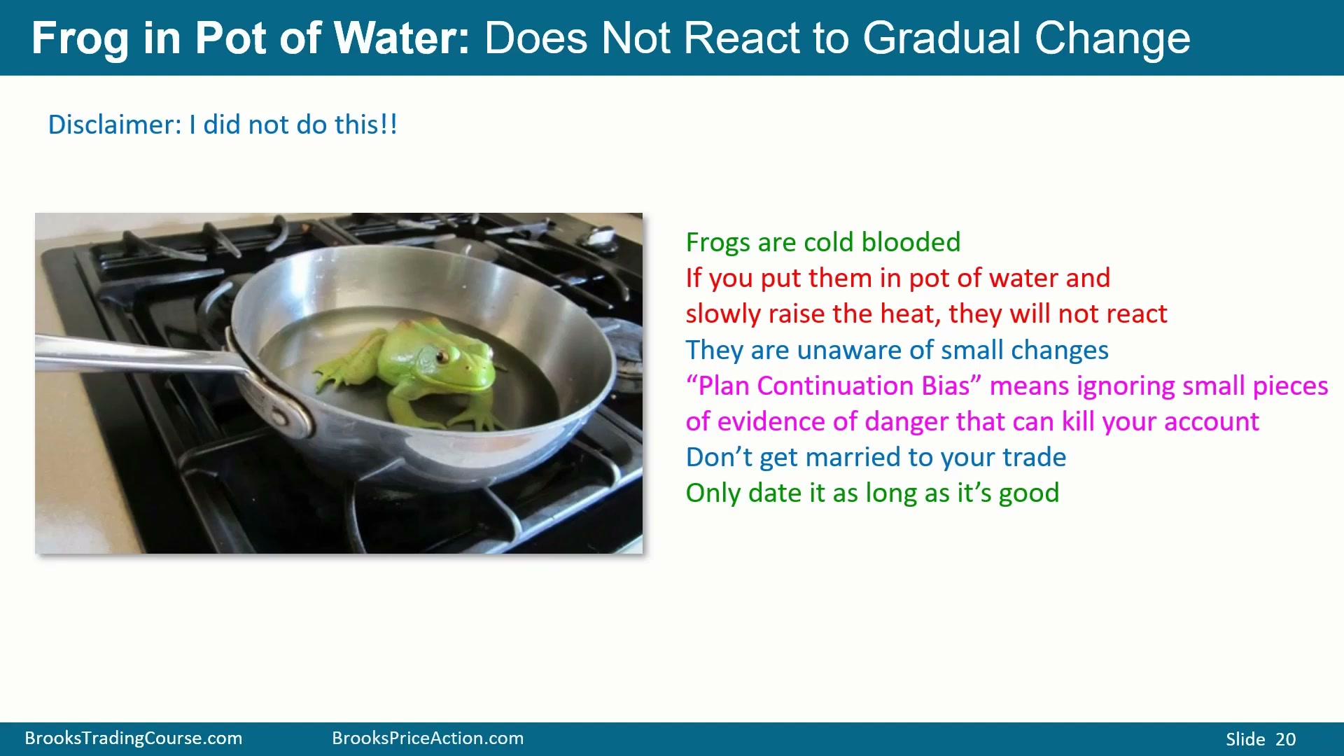 Slide 017