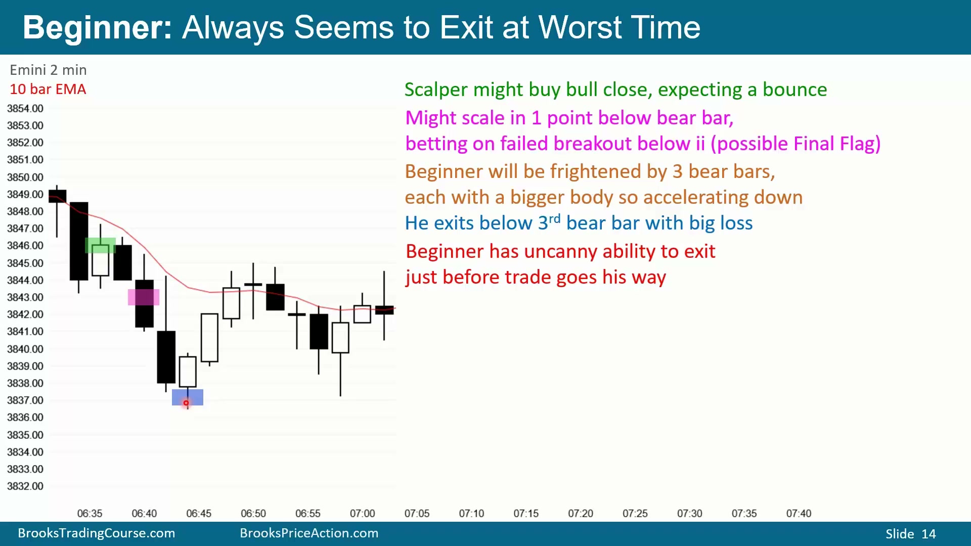 Slide 014