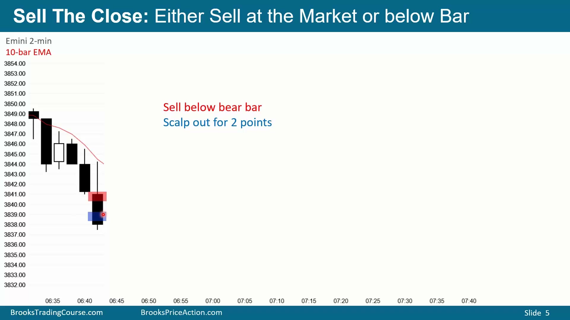 Slide 005