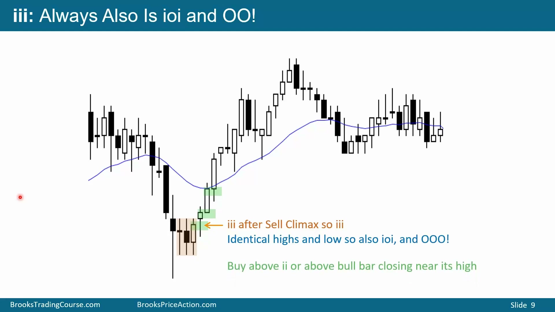 Slide 008